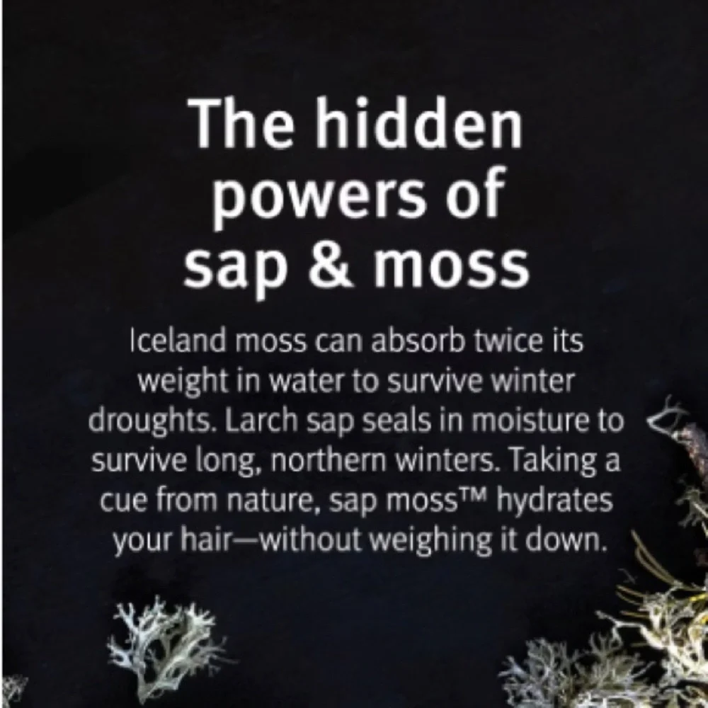 AVEDA SAP MOSS WEIGHTLESS HYDRATION CONDITIONER (NEW WITH TAG)
